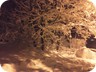 Campeggio in notturna con neve