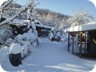 Sotto la neve