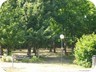 La natura circostante
