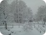 Nevicata